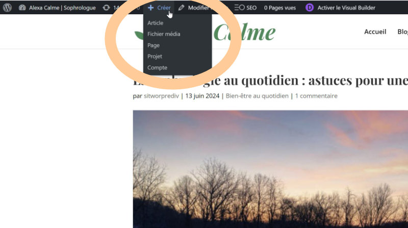 créer article wordpress