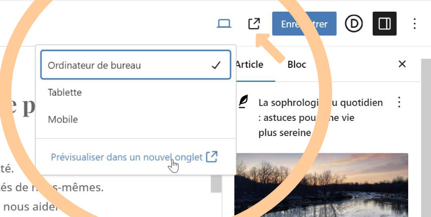 prévisualiser article wordpress