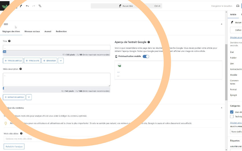 réglage seo article wordpress