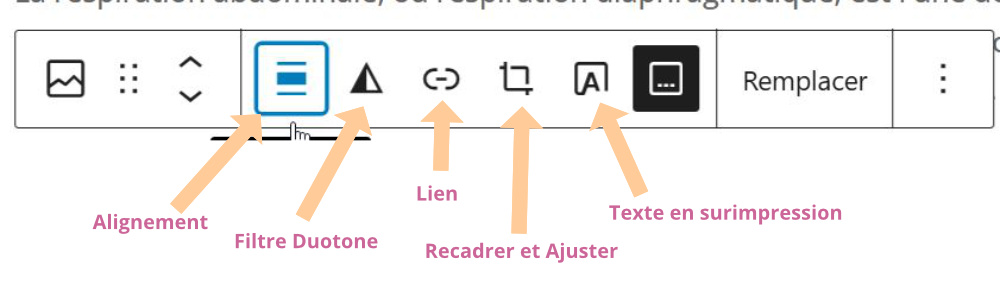 images wordpress options