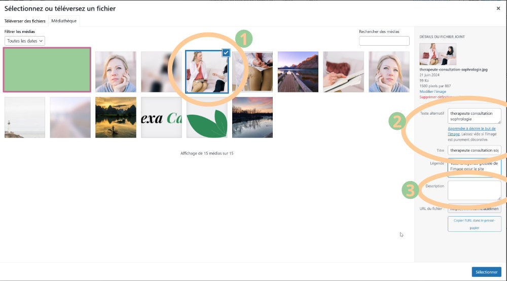 images wordpress referencement naturel